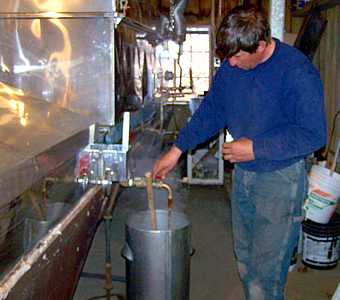 making maple syrup